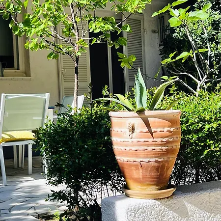 アパート Superbe Avec Terrasse Jardin Et Parking Prive サントロペ